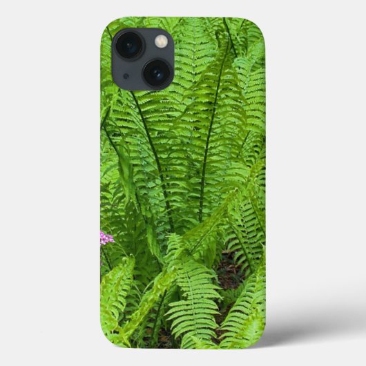 USA, Washington, Seattle, Washington Park Case-Mate iPhone Case (Achterkant)