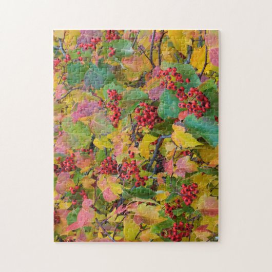 USA, Washington, Spokane County, Hawthorn Leaves 2 Legpuzzel (Verticaal)