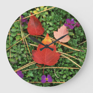 USA, Washington, Spokane County, Hawthorn Leaves 3 Grote Klok