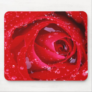 USA, Washington, Spokane County, Manito Park Muismat