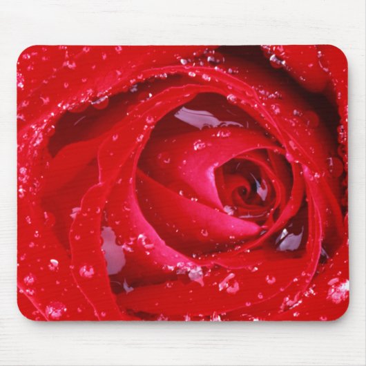 USA, Washington, Spokane County, Manito Park Muismat (Voorkant)