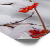 USA, Washington, Spokane County Poster (Hoek)