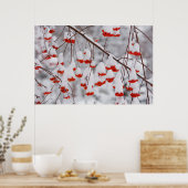 USA, Washington, Spokane County Poster (Keuken)