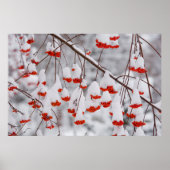 USA, Washington, Spokane County Poster (Voorkant)