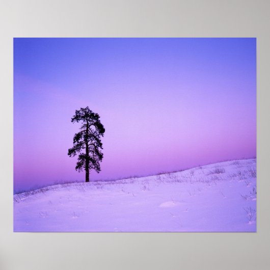 USA, Washington, Spokane County, Riverside Poster (Voorkant)