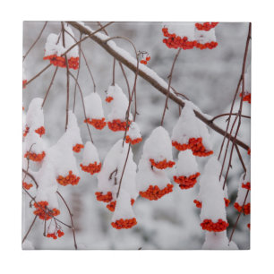 USA, Washington, Spokane County Tegeltje