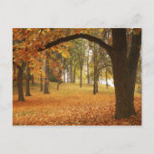 USA, Washington, Spokane, Manito Park, herfst 2 Briefkaart (Voorkant)