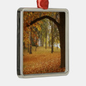 USA, Washington, Spokane, Manito Park, herfst 2 Metalen Ornament (Rechts)