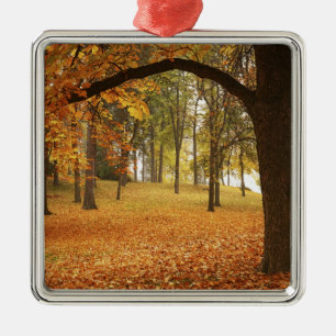 USA, Washington, Spokane, Manito Park, herfst 2 Metalen Ornament