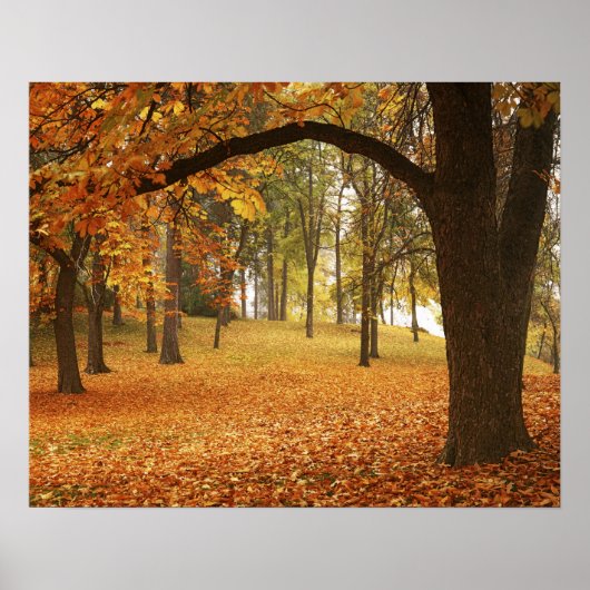 USA, Washington, Spokane, Manito Park, herfst 2 Poster (Voorkant)