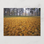 USA, Washington, Spokane, Manito Park, herfst Briefkaart (Voorkant)