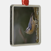 USA, Washington State, Red-brested Nuthatch, Metalen Ornament (Rechts)