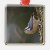 USA, Washington State, Red-brested Nuthatch, Metalen Ornament (Voorkant)