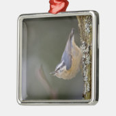 USA, Washington State, Red-brested Nuthatch, Metalen Ornament (Links)