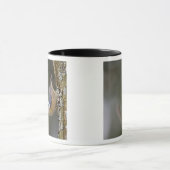 USA, Washington State, Red-brested Nuthatch, Mok (Midden)