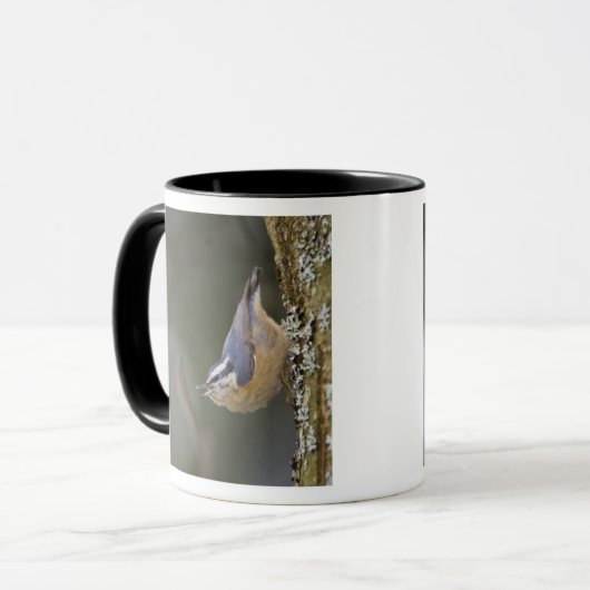 USA, Washington State, Red-brested Nuthatch, Mok (Voorkant links)