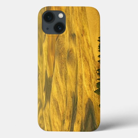 USA, Washington, Whitman County, Palouse, Wheat Case-Mate iPhone Case (Achterkant)