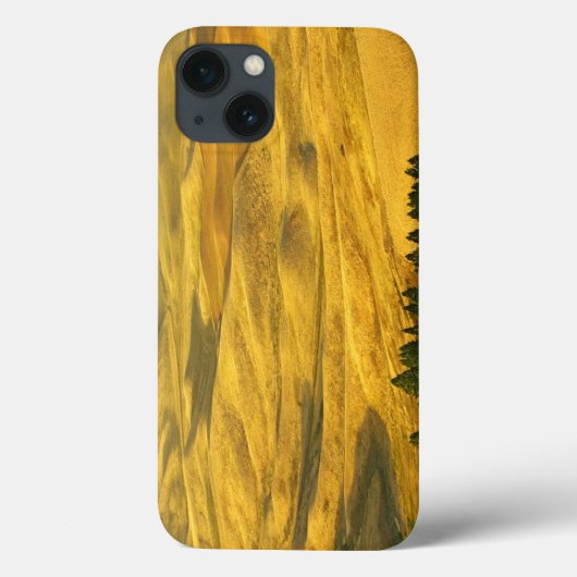 USA, Washington, Whitman County, Palouse, Wheat Case-Mate iPhone Case (Achterkant)