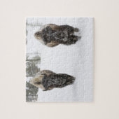 USA, WY, Yellowstone NP, American Bison (Bison) Legpuzzel (Verticaal)