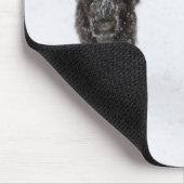 USA, WY, Yellowstone NP, American Bison (Bison) Muismat (Hoek)