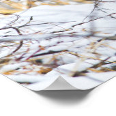 USA, Wyoming, Bobcat sitting in snow covered Poster (Hoek)