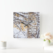 USA, Wyoming, Bobcat sitting in snow covered Vierkante Klok (Huis)