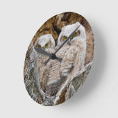 USA, Wyoming, Grand Teton National Park 2 Ronde Klok (Hoek)