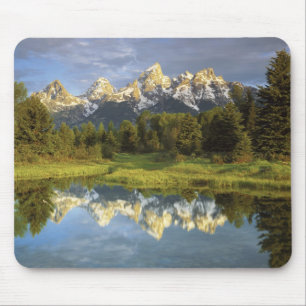USA, Wyoming, Grand Teton National Park. Grand 2 Muismat