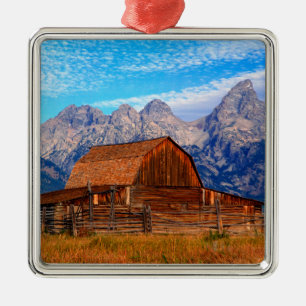 USA, Wyoming, Grand Teton National Park. Metalen Ornament