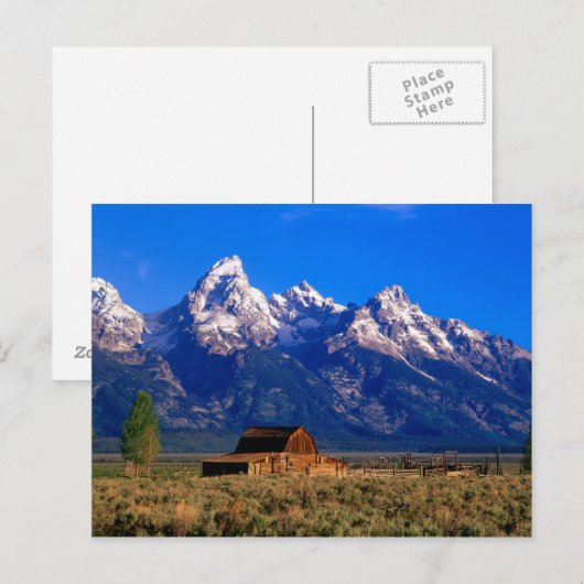 USA, Wyoming, Grand Teton National Park, Morning Briefkaart (Voorkant / Achterkant)