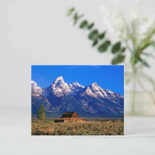 USA, Wyoming, Grand Teton National Park, Morning Briefkaart (Staand voorkant)
