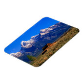 USA, Wyoming, Grand Teton National Park, Morning Magneet (Linkerzijde)