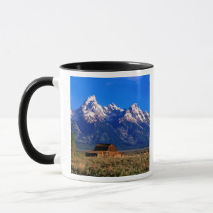 USA, Wyoming, Grand Teton National Park, Morning Mok