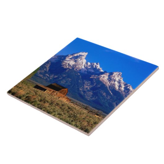 USA, Wyoming, Grand Teton National Park, Morning Tegeltje (Zijkant)