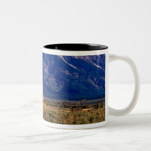 USA, Wyoming, Grand Teton National Park, Morning Tweekleurige Koffiemok