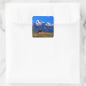 USA, Wyoming, Grand Teton National Park, Morning Vierkante Sticker (Tas)