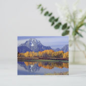 USA, Wyoming, Grand Teton National Park. Mt. Briefkaart (Staand voorkant)