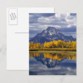 USA, Wyoming, Grand Teton NP. Tegen de Briefkaart (Voorkant / Achterkant)