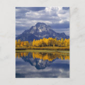 USA, Wyoming, Grand Teton NP. Tegen de Briefkaart (Voorkant)
