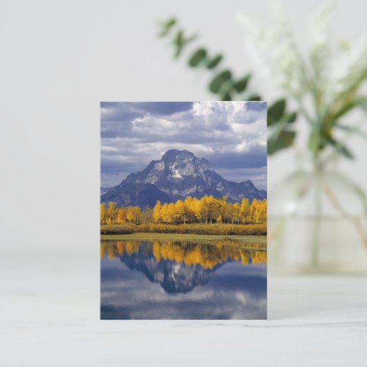 USA, Wyoming, Grand Teton NP. Tegen de Briefkaart (Staand voorkant)