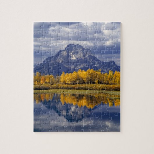 USA, Wyoming, Grand Teton NP. Tegen de Legpuzzel (Verticaal)
