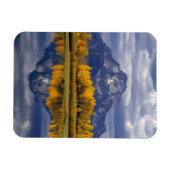 USA, Wyoming, Grand Teton NP. Tegen de Magneet (Horizontaal)