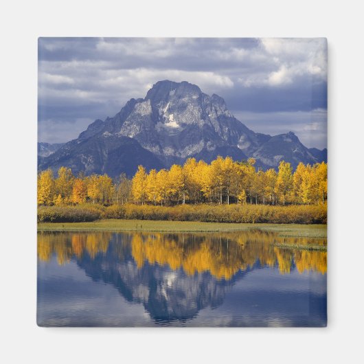 USA, Wyoming, Grand Teton NP. Tegen de Magneet (Voorkant)