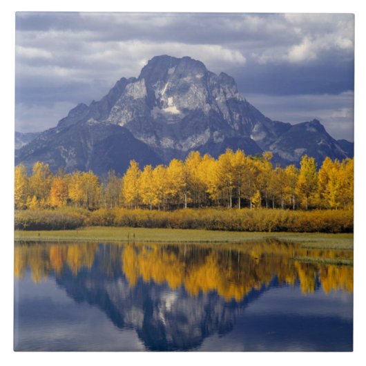 USA, Wyoming, Grand Teton NP. Tegen de Tegeltje (Voorkant)