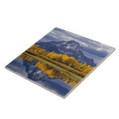 USA, Wyoming, Grand Teton NP. Tegen de Tegeltje (Zijkant)