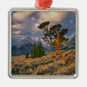 USA, Wyoming, Grand Teton NP. Zonneopgroeten a Metalen Ornament