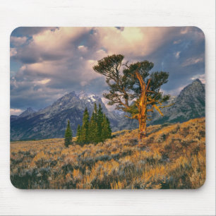 USA, Wyoming, Grand Teton NP. Zonneopgroeten a Muismat