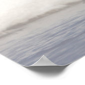 USA, Wyoming, Trumpeter Swan stretches wings Poster (Hoek)