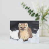 USA, Wyoming, Yellowstone National Park Briefkaart (Staand voorkant)