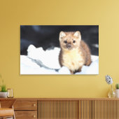 USA, Wyoming, Yellowstone National Park Canvas Afdruk (Insitu (Woonkamer))